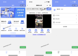 2023新版 多功能去水印工具微信小程序源码_带流量主功能-刘毅资源网