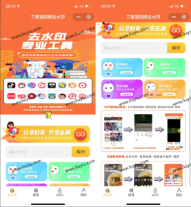 2022最新版去水印小程序源码-刘毅资源网