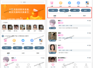 游戏陪玩语音聊天系统v3.0 独立版本源码-刘毅资源网