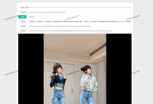 2023全新小红书图集和视频解析去水印网站源码-刘毅资源网