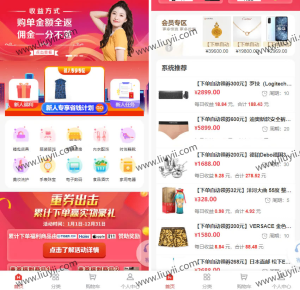 2023全新返佣商城分销商城理财商城系统源码 全开源PHP+VUE源码-刘毅资源网