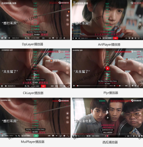 苹果CMS超级播放器专业版V1.0.8无授权全开源-刘毅资源网