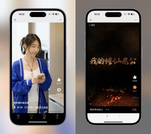 2024最新版视频短剧SAAS系统源码 影视短剧小程序源码-刘毅资源网